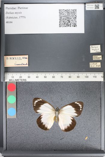 Media type: image;   Entomology 130420
